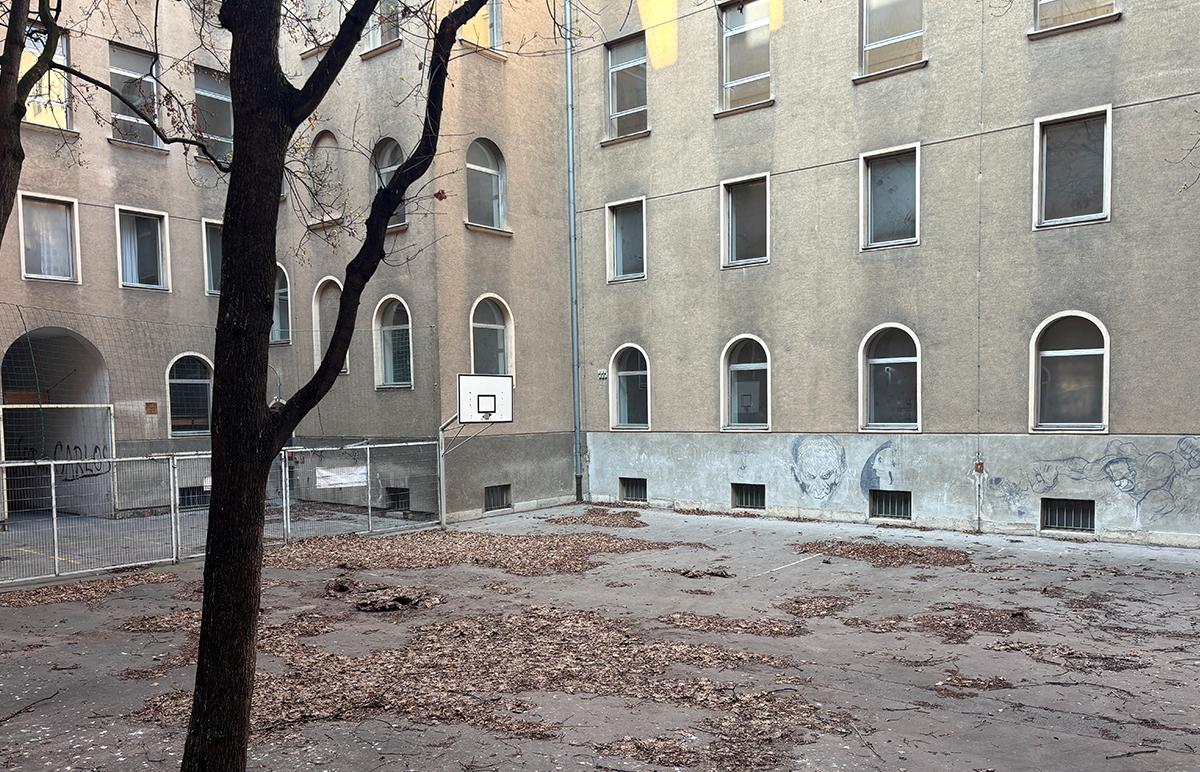 betonierter Innenhof mit Baum und Basketballkorb
