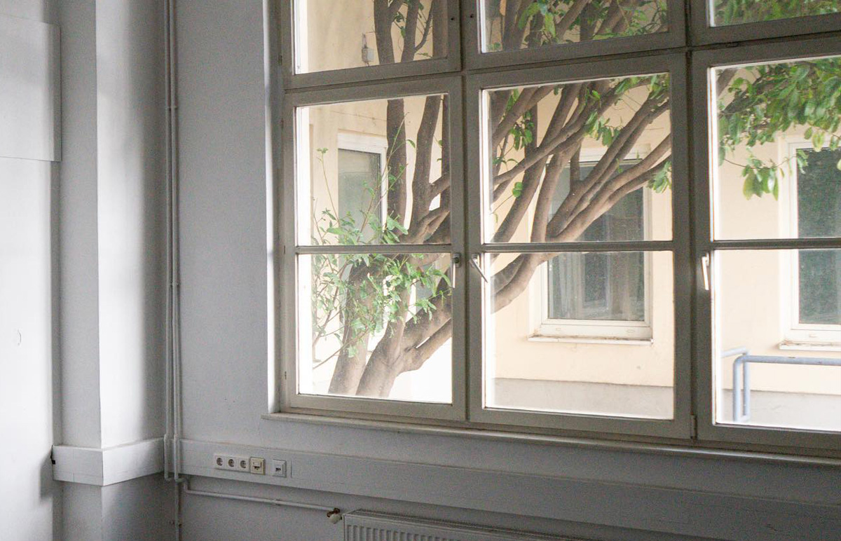 Blick aus einem Fenster auf einen grünen Baum, Altbau.